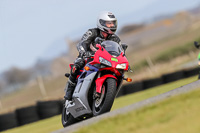 PJ-Motorsport-2019;anglesey-no-limits-trackday;anglesey-photographs;anglesey-trackday-photographs;enduro-digital-images;event-digital-images;eventdigitalimages;no-limits-trackdays;peter-wileman-photography;racing-digital-images;trac-mon;trackday-digital-images;trackday-photos;ty-croes